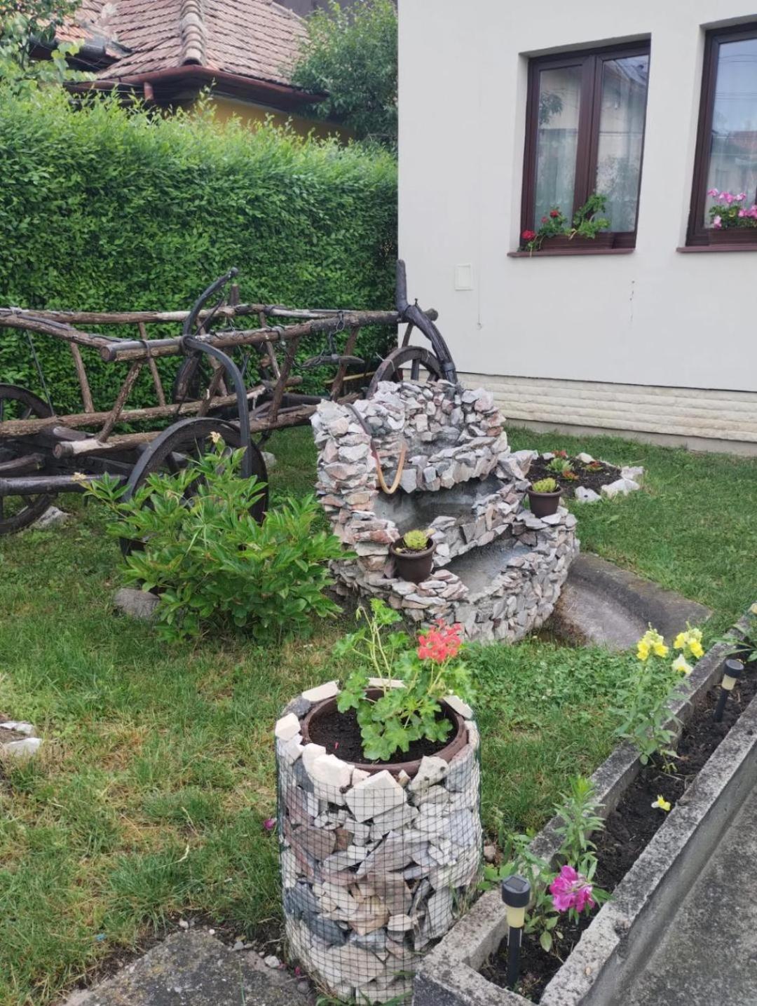 Casa Darius Cluj公寓 外观 照片